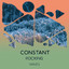 zZz Constant Rocking Waves zZz cover