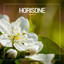 Nomite - Passenger 10 Remix