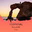 zZz Essential Rocking Tides zZz cover