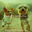 Feelings for Relaxing Dogs cover