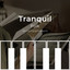 zZz Tranquil Folk Accompaniment zZz cover