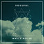 # 1 Album: Soulful White Noise cover
