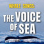 Whale Songs: The Voice of Sea cover