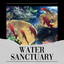 Water Sanctuary cover