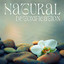Natural Detoxification: Rejuvenating Spa Sounds with Nature for Endocrine System Boost, Skincare, Massage Therapy Music, Deep Cell Regeneration cover