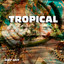 Tropical Florida - Quiero Ser Tu Carinito