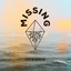 Missing - Acoustic Version cover