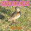 Unknown Title cover