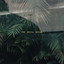 Rococo cover