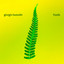 Giorgio Bussolin - Glossopteris Indica
