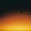 Miro pa'l cielo