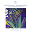 Mistral Durance - Simoncino Main Remix