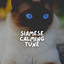 Siamese Calming Tune cover