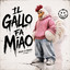 MAURO-DI-MAGGIO- - IL-GALLO-FA-MIAO
