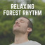 Relaxing Forest Rhythm cover