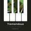 zZz Tremendous Instrumental Masterpieces zZz cover