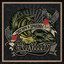 Album cover of Снегири и драконы by Elysium