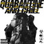 Quarantine and Chill cover
