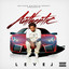 Authentic cover