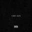 VIBE SZN - (compilation project) cover