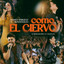 Como El Ciervo - Editado - Madely Marquez - Montesanto