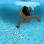 Nova Wave, Pt. 4 cover art