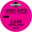 Lady - Disco Dust Mix