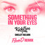 Something In Your Eyes - Flava D Remix