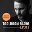 Toolroom Radio EP313 - Presented by Mark Knight cover