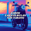 DJ HAROK CAHAYO BULAN NAN TARANG cover
