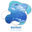 Bucolic Ocean Sounds For Tranquility cover