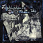 ELECTION DAY - LILY SEABIRD