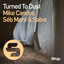 Turned to Dust cover