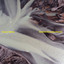 Seabird (ft. Christian d’Or & Toby Ernest) (Tensnake Remix) Kasper Bjørke
