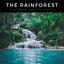 The Rainforest: The Best Rainforest Music For Deep Relaxation cover