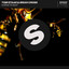 Hornets Nest - Extended Mix