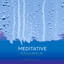 zZz Meditative Downpour: Raining at the Marsh zZz cover