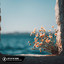 Sola Okoro/Taylo Kemi/Afro King - Lost In The Sound