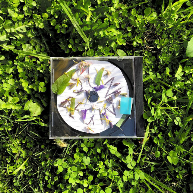 SUN BEGIN cover art