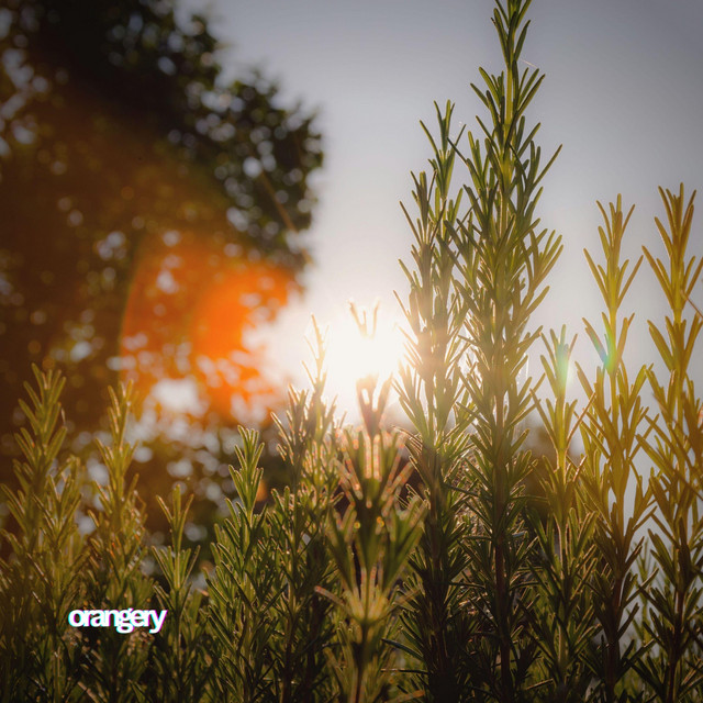 Обкладинка: Rosemary — orangery