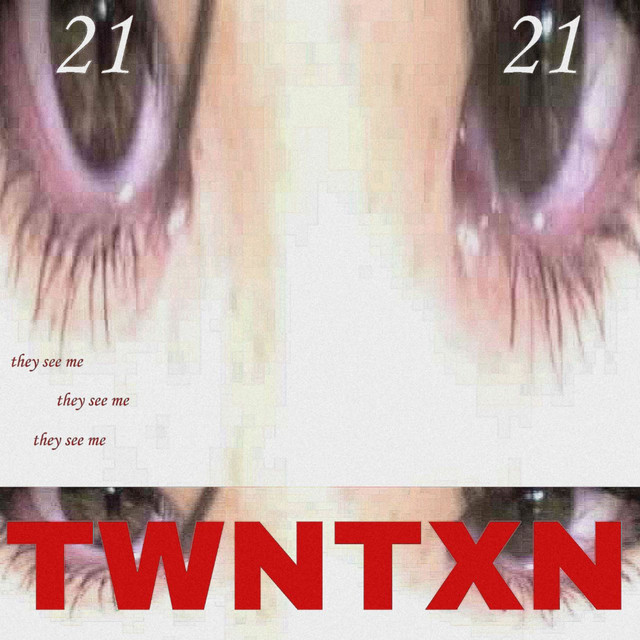 NEVER SEEN cover art