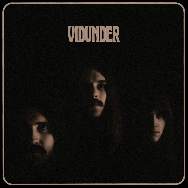 Vidunder cover art