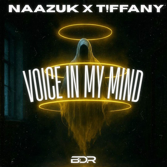 Обкладинка: Voice In My Mind — NAAZUK