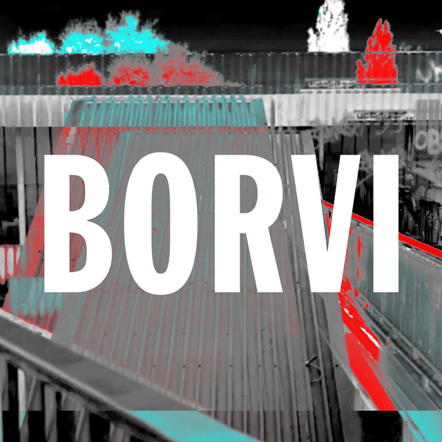 BORVI cover