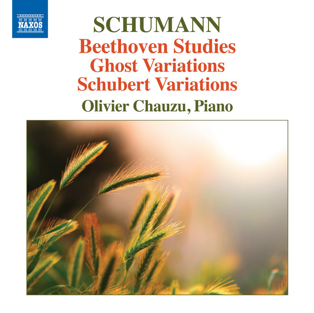 R. Schumann: Piano Variations