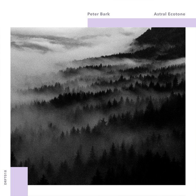 Astral Ecotone cover art