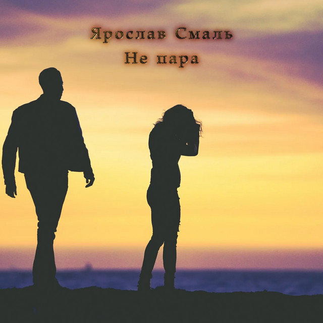 Обкладинка: Не пара — Ярослав Смаль