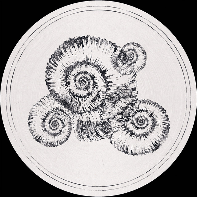 Perisphinctes Tiziani Remixes