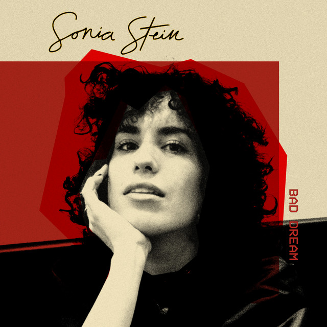 Cover of Bad Dream by Sonia Stein