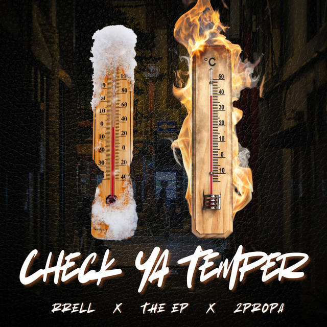 Check Ya Temper cover art